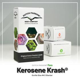 Kerosene Krash® 5 seeds- Fem